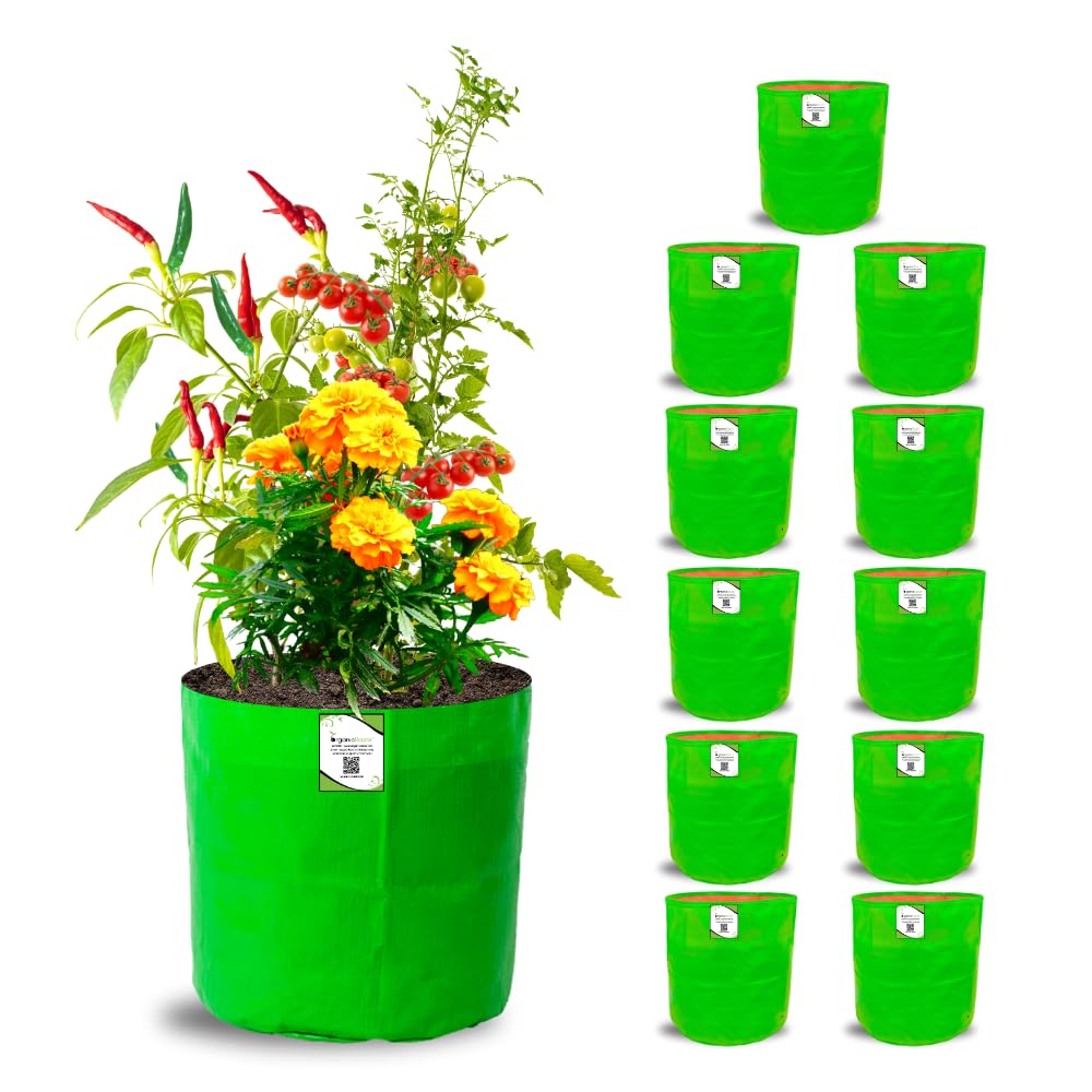 ORGANIC BAZAR 12x12 Grow Bags for Terrace Garden, Premium HDPE Green-Orange Planters for Vegetable Plants for Indoor-Outdoor Garden (Pack of 10)