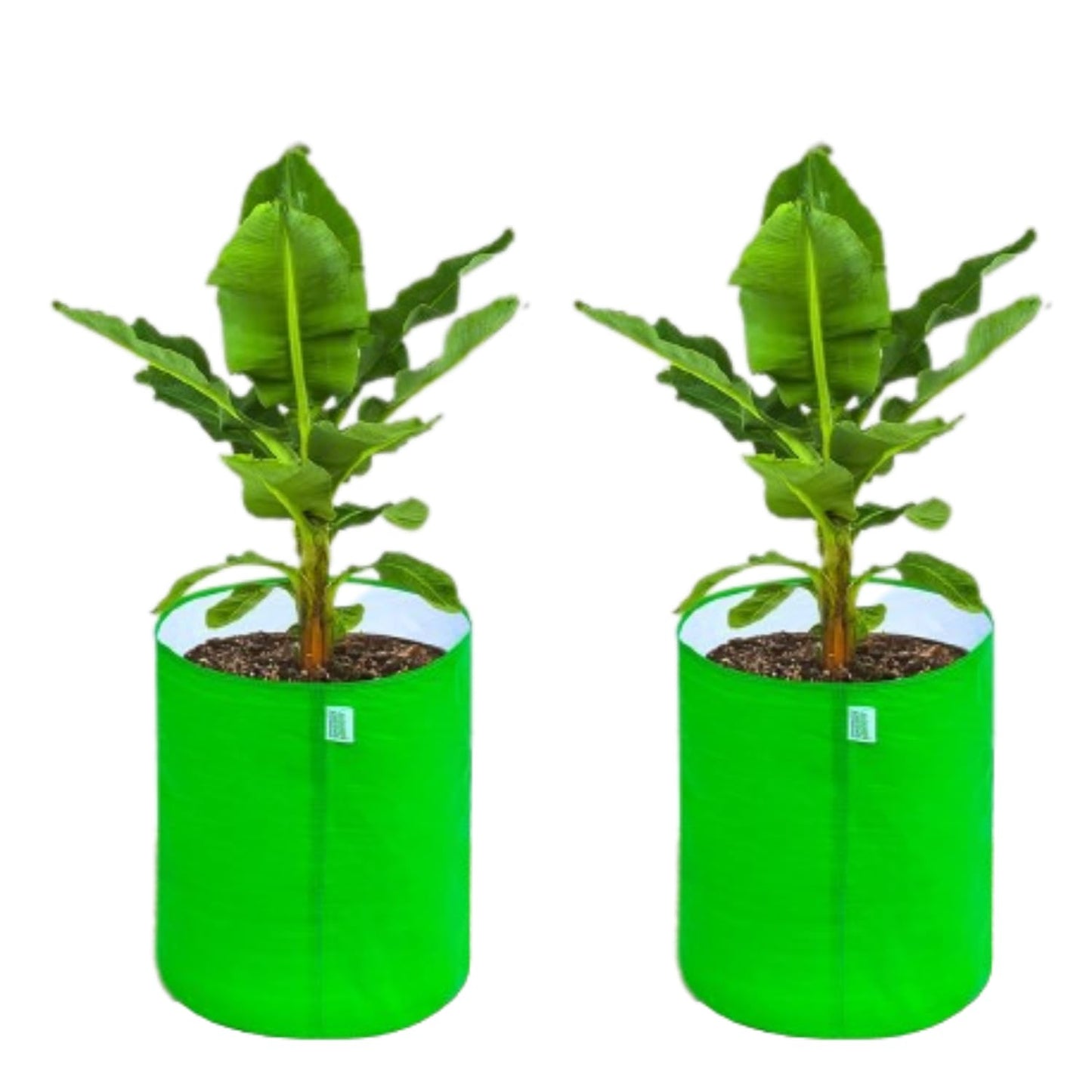 Anandi Green's Hdpe Uv Protected 260 GSM Round Green Colour Plants Grow Bags Suitable for Terrace and Vegetable Gardening 18x6 inch Pack of 4