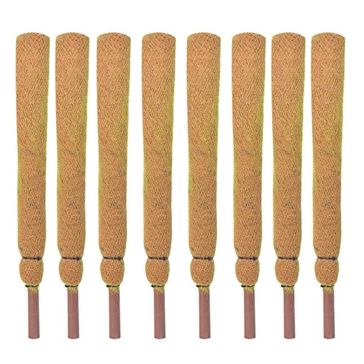 KURUPPATH GROUP Coir Moss Stick/Coco Pole for Climbing Indoor Plants (Pack of 8) (5 Feet)