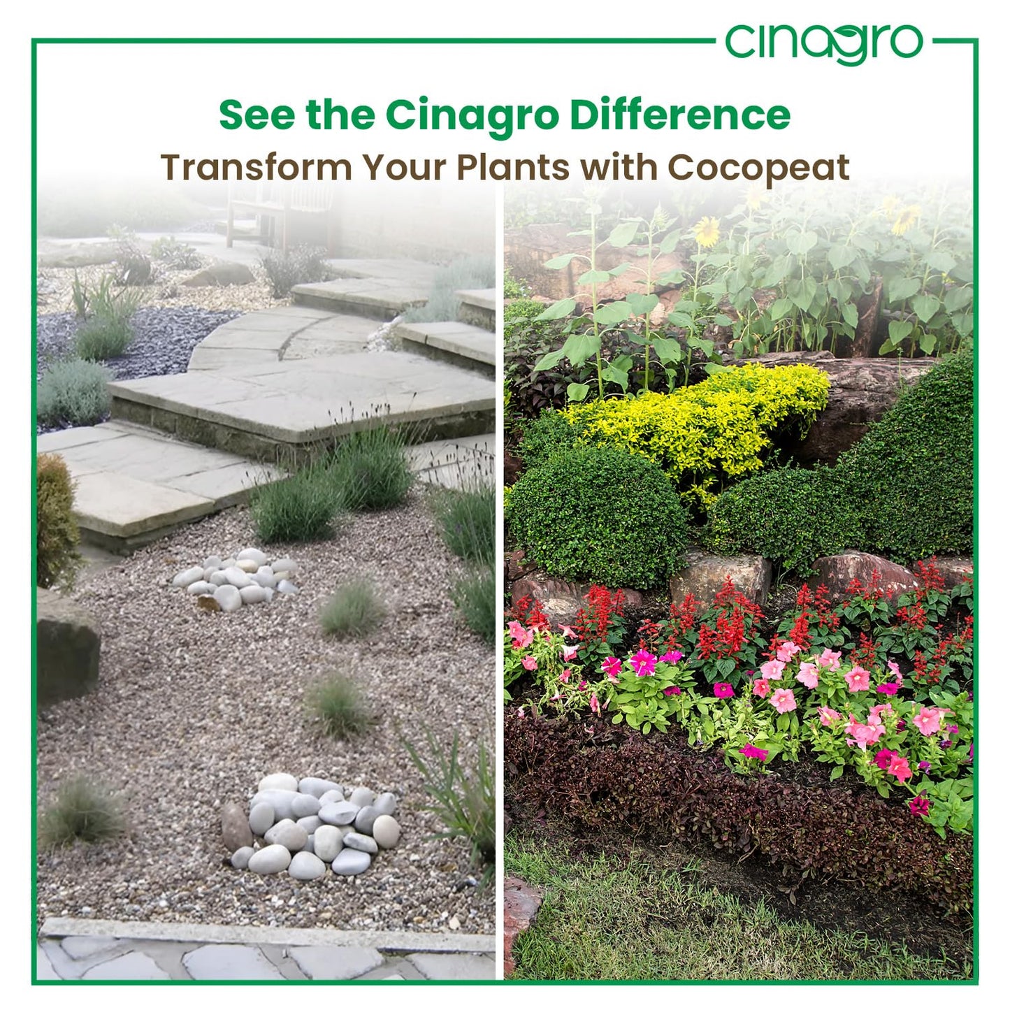 Cinagro Cocopeat (1 Kg Block, Expand up to 25 litres or 3 Kgs Cocopeat Powder), Natural Coconut Coir Fibres, Organic Fertilizer for Home Gardening, Potted Plants, Pure Cocopeat Block for Plants