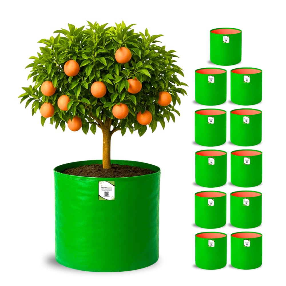ORGANIC BAZAR 12x12 Grow Bags for Terrace Garden, Premium HDPE Green-Orange Planters for Vegetable Plants for Indoor-Outdoor Garden (Pack of 10)