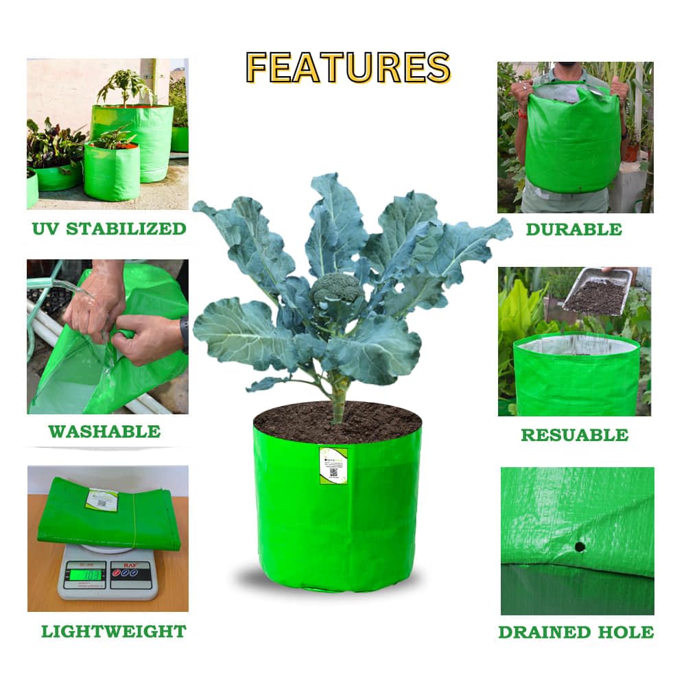 ORGANIC BAZAR 12x12 Grow Bags for Terrace Garden, Premium HDPE Green-Orange Planters for Vegetable Plants for Indoor-Outdoor Garden (Pack of 10)