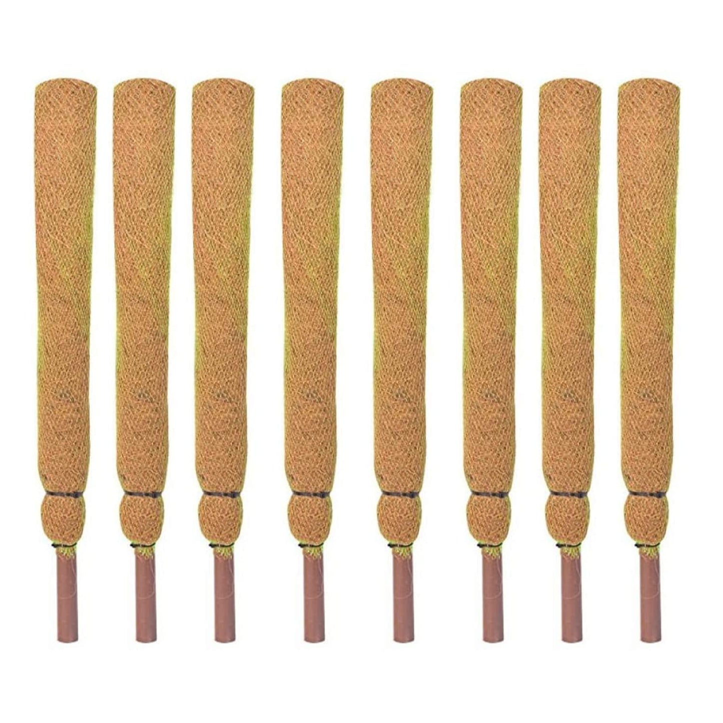 KURUPPATH GROUP Coir Moss Stick/Coco Pole for Climbing Indoor Plants (Pack of 8) (5 Feet)