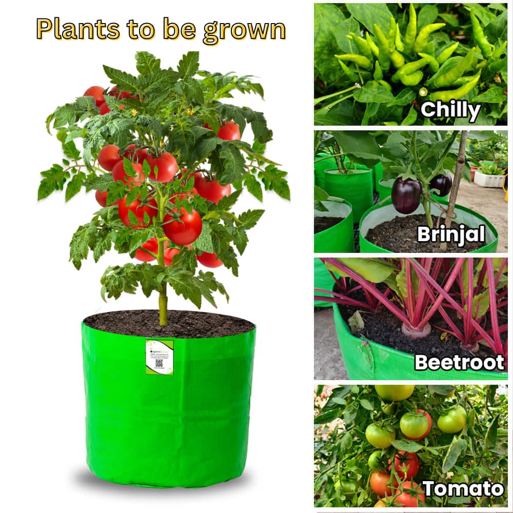 ORGANIC BAZAR 12x12 Grow Bags for Terrace Garden, Premium HDPE Green-Orange Planters for Vegetable Plants for Indoor-Outdoor Garden (Pack of 10)