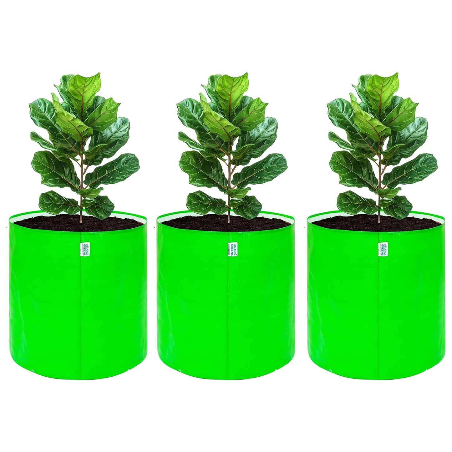 Anandi Green's Hdpe Uv Protected 260 GSM Round Green Colour Plants Grow Bags Suitable for Terrace and Vegetable Gardening 18x6 inch Pack of 4