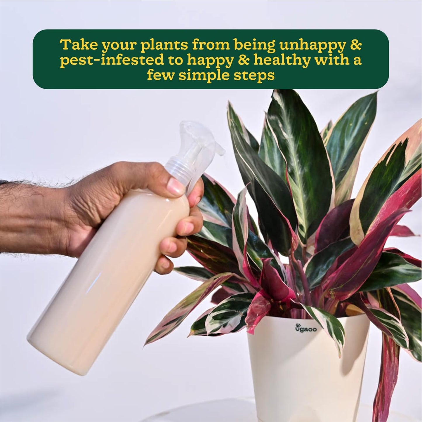 Ugaoo Neem Oil Spray for Plants & Garden - Highly Effective on Plant Insects (250 ml)