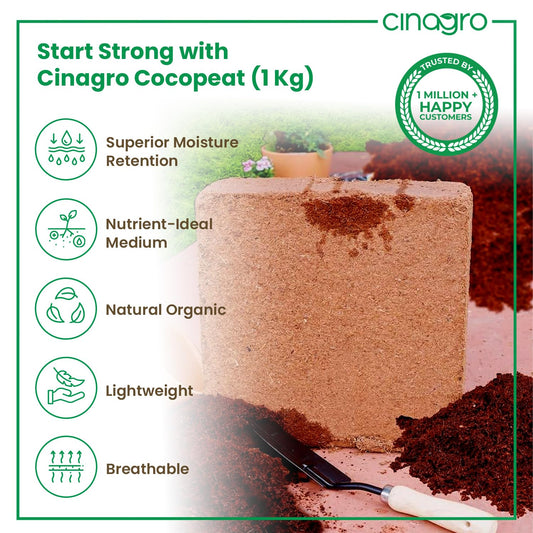 Cinagro Cocopeat (1 Kg Block, Expand up to 25 litres or 3 Kgs Cocopeat Powder), Natural Coconut Coir Fibres, Organic Fertilizer for Home Gardening, Potted Plants, Pure Cocopeat Block for Plants