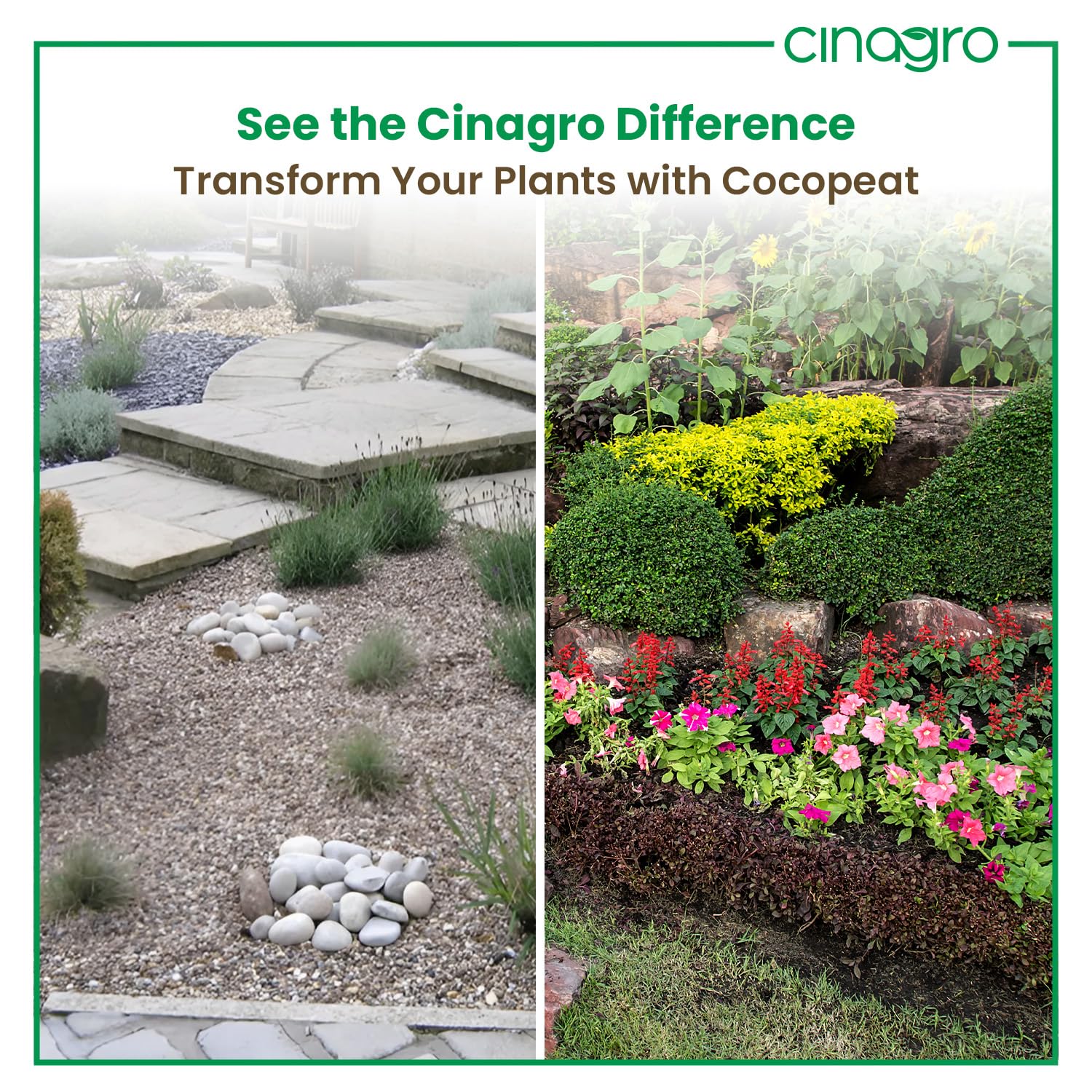 Cinagro Cocopeat (1 Kg Block, Expand up to 25 litres or 3 Kgs Cocopeat Powder), Natural Coconut Coir Fibres, Organic Fertilizer for Home Gardening, Potted Plants, Pure Cocopeat Block for Plants